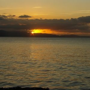 Meet your Posher, Kylie